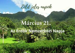 Mrcius 21. - Az Erdk Nemzetkzi Napja (Zld jeles napok)