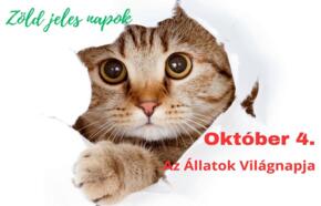 Oktber 4.- Az llatok Vilgnapja (Zld Jeles Napok)