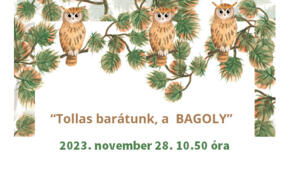 Tollas bartunk, a BAGOLY