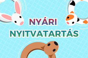 Ny�ri nyitvatart�s 2026. 